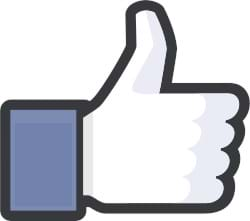 Facebook Like Thumbs Up Icon